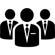 professional services